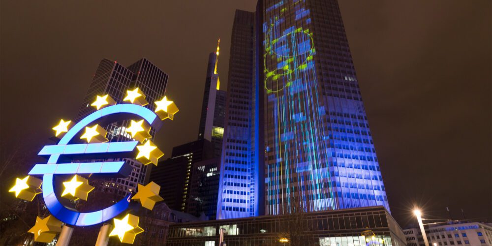 ECB Report on Digital Euro: Privacy Aspects, Limits, and Tenders